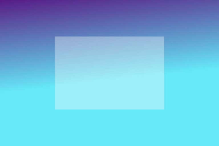 gallery-2